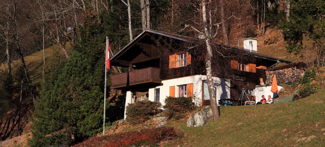 IMAGE1