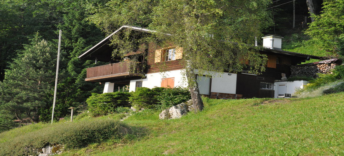 IMAGE2