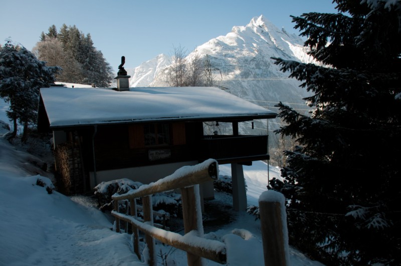 Chalet Haus 7