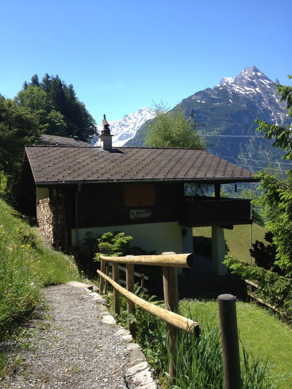Chalet Haus 4