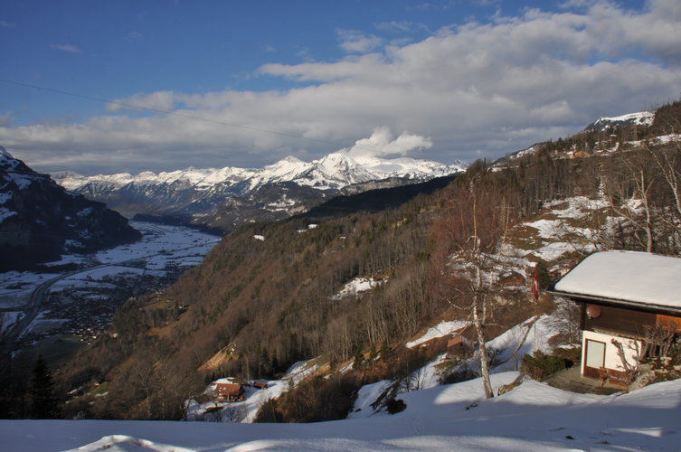 IMAGE3